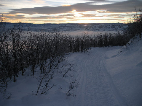 cross country ski 