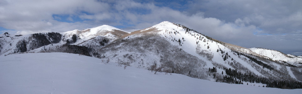 Bald Mountain 