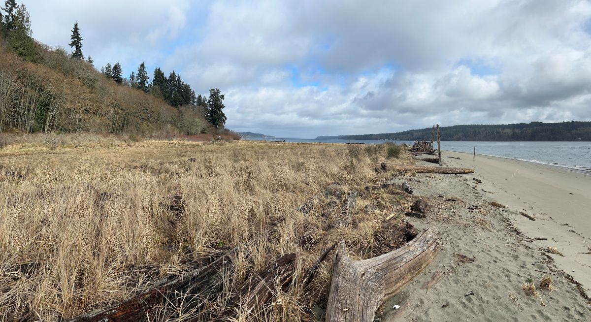 anderson point