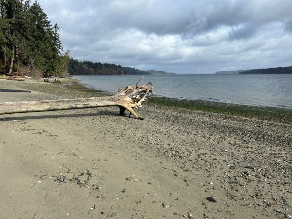 anderson point