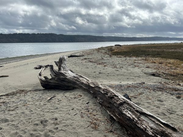 anderson point