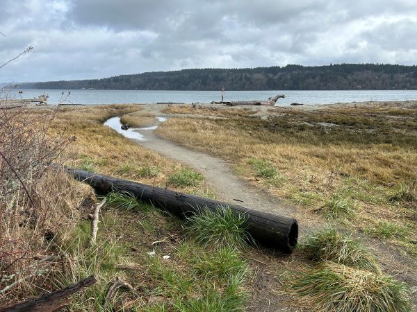 anderson point