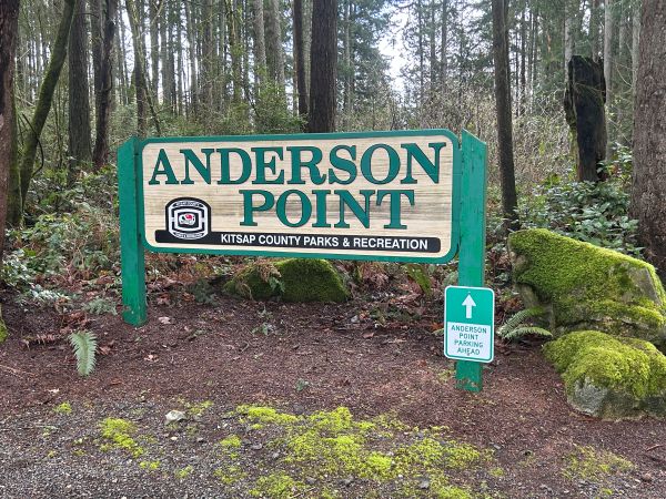 anderson point