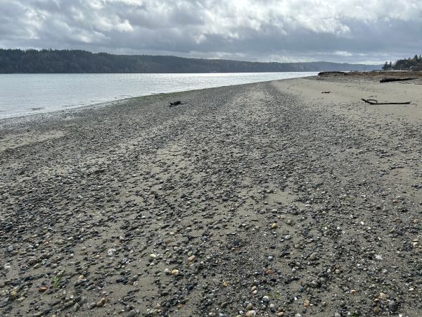 anderson point