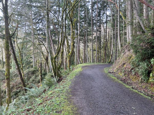 anderson point