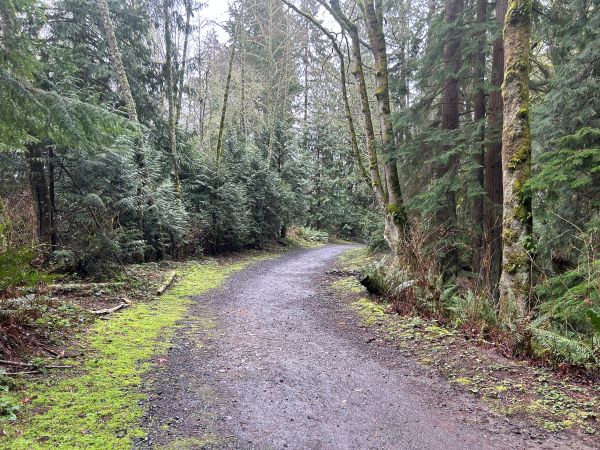 anderson point