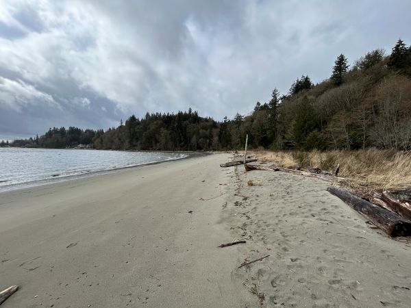 anderson point