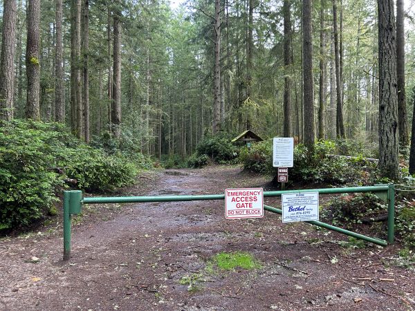 Banner Forest