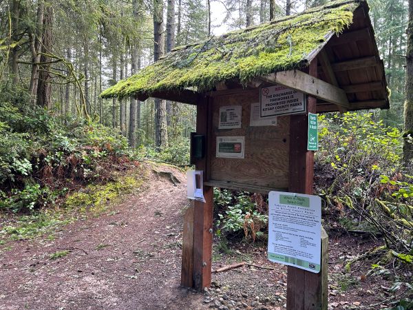 Banner Forest