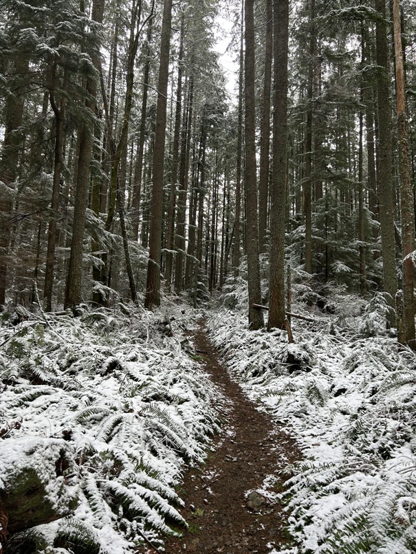 Cable Line Trail 