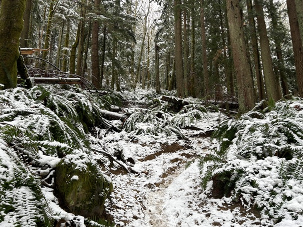 Cable Line Trail 