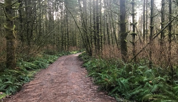Main Trail 
