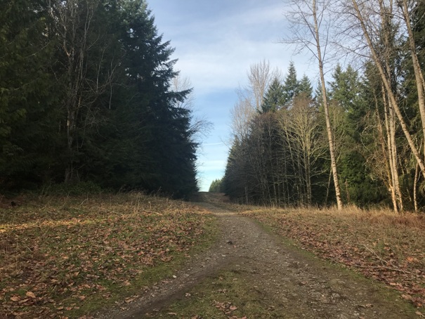 Pipeline Trail