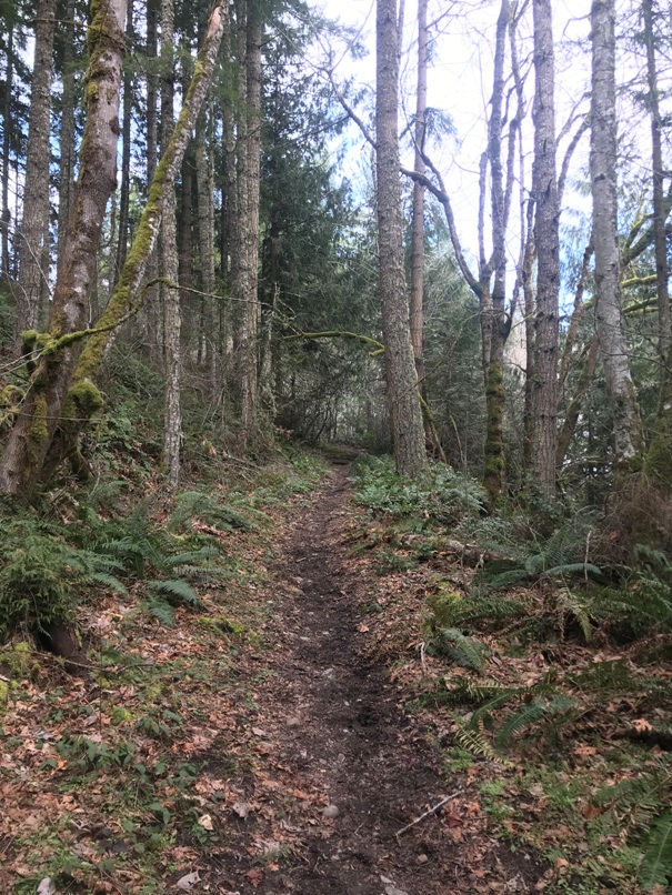 nisqually state park