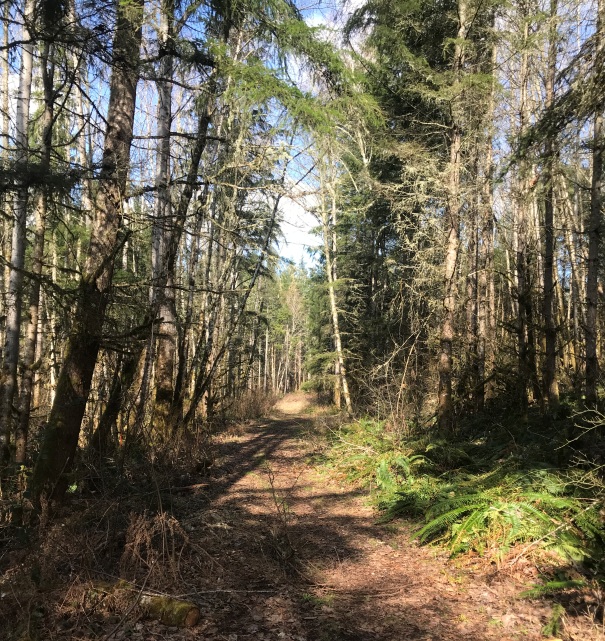 nisqually state park