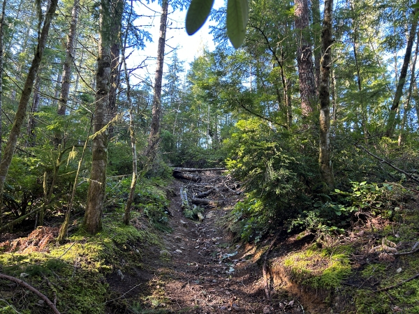 green mountain