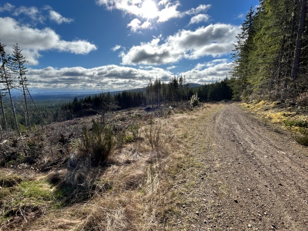 green mountain