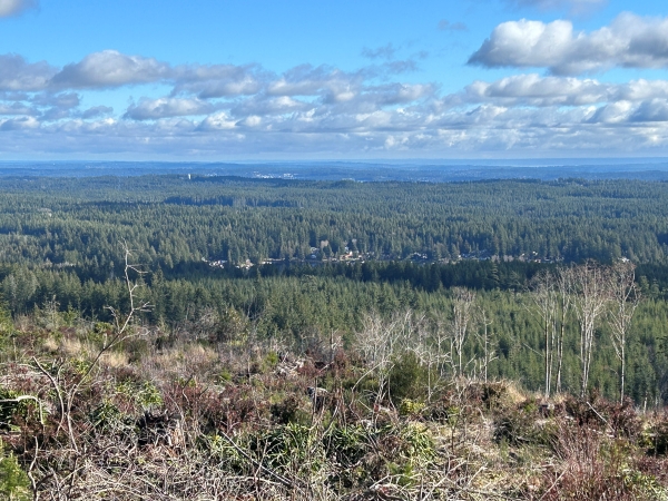 green mountain