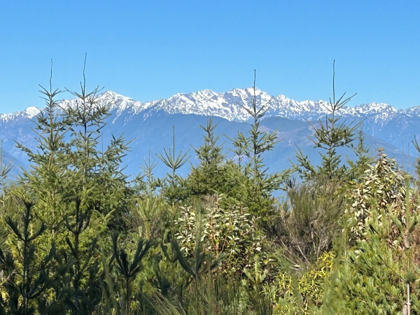 Mount Constance