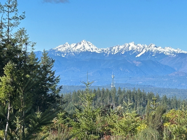Mt. Elinor