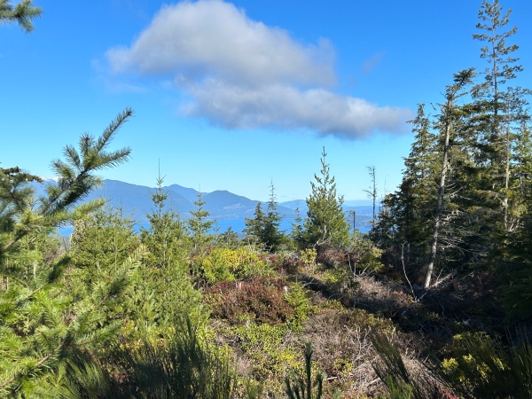 Mount Walker