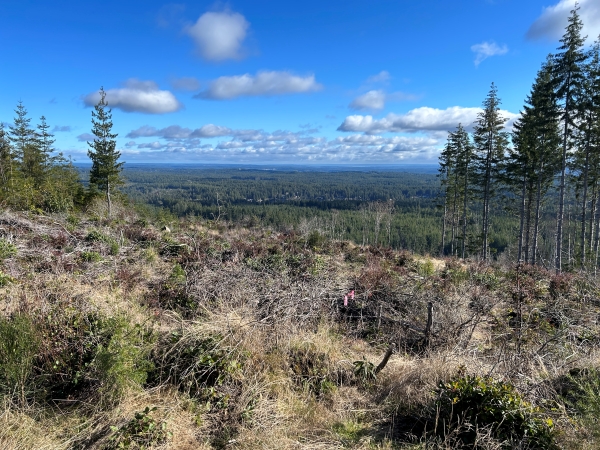 green mountain