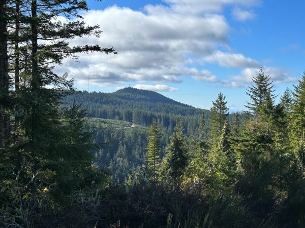 green mountain