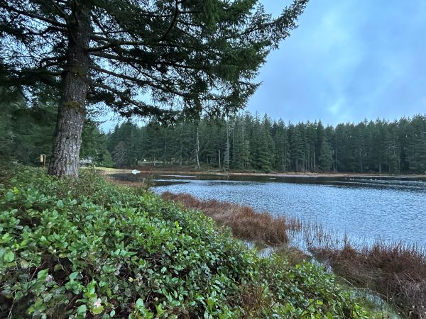 square lake