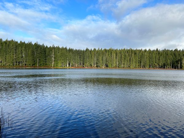 square lake