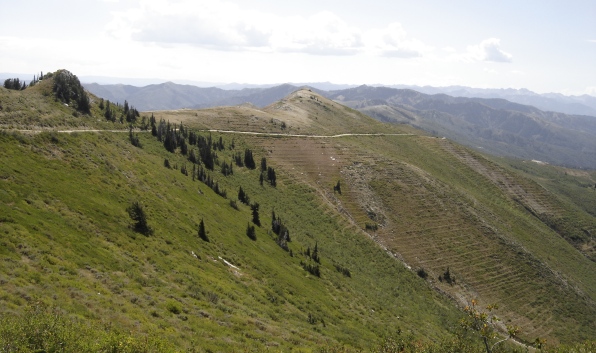 wasatch