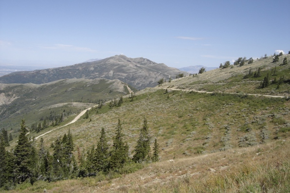 wasatch