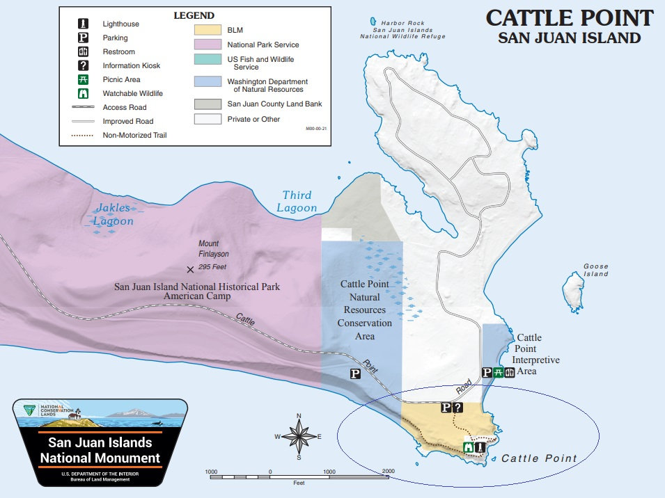 lighthouse map