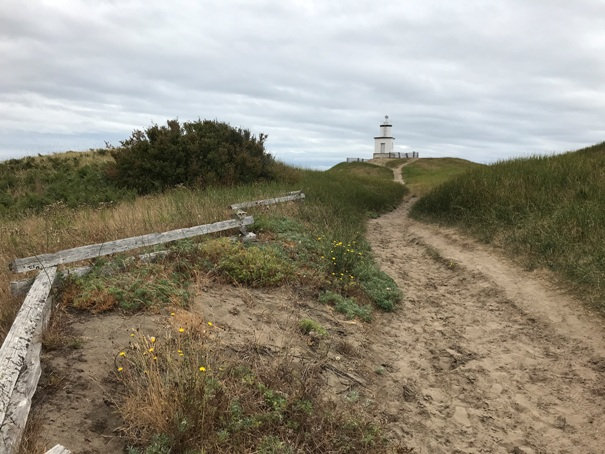 Sandy trail 