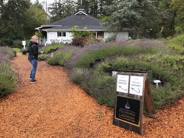 Visitors Center 