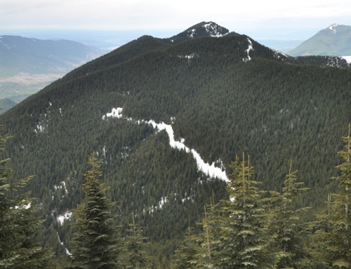 Mount Washington 