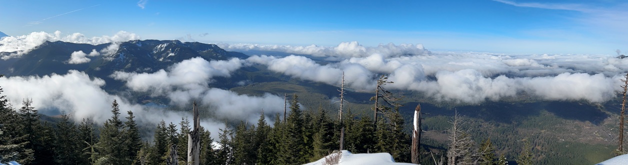 mount washington view