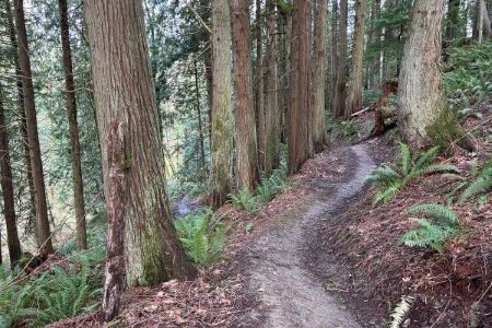 Boulder Dash Park