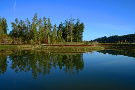 Yonder Wetlands