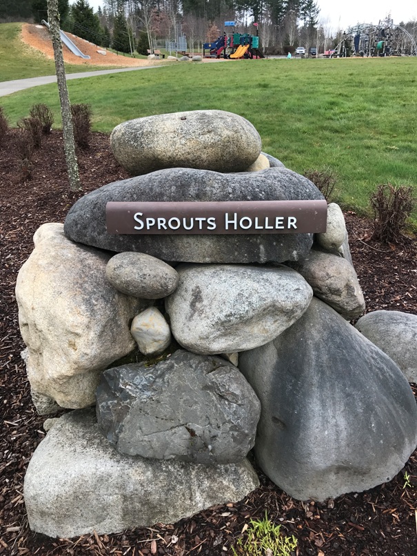 Sprouts Holler Park