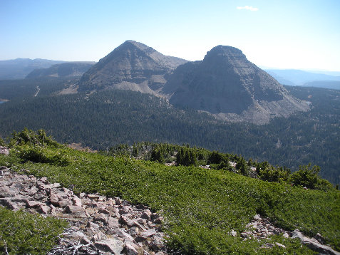 Bald Mountain and Reids Peak