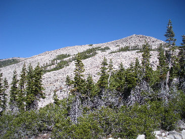 lofty_peak_from_trail.jpg