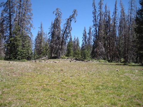 Meadows of Glenwood Mountain