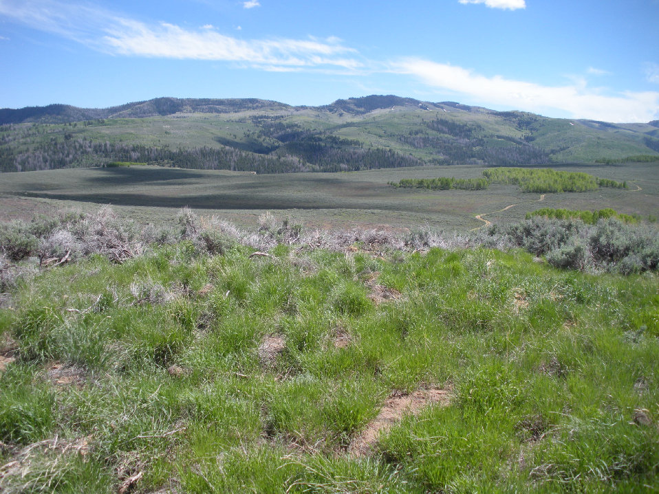 Soldier Creek Trail