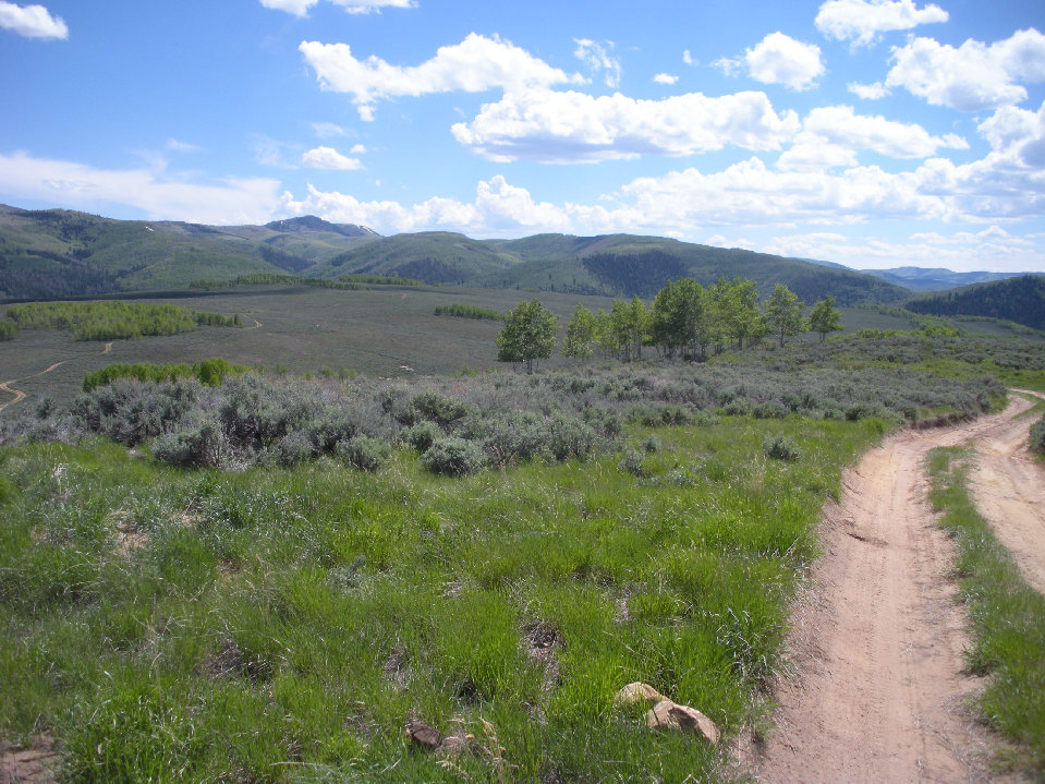 Baldy Mountain 