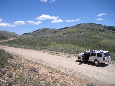 Trail Hollow summit road