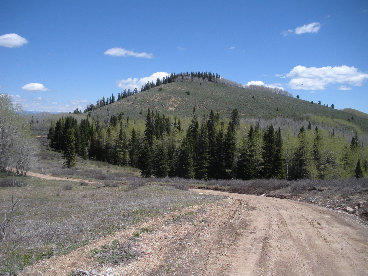 Trail Hollow summit road