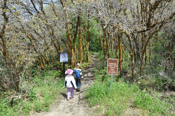 Burnham Loop Trail