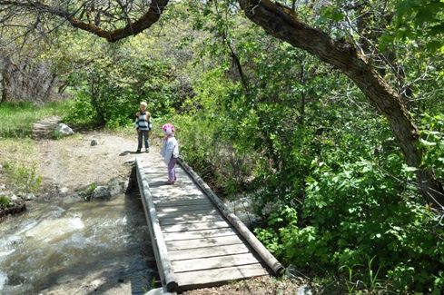 Burnham Loop Trail