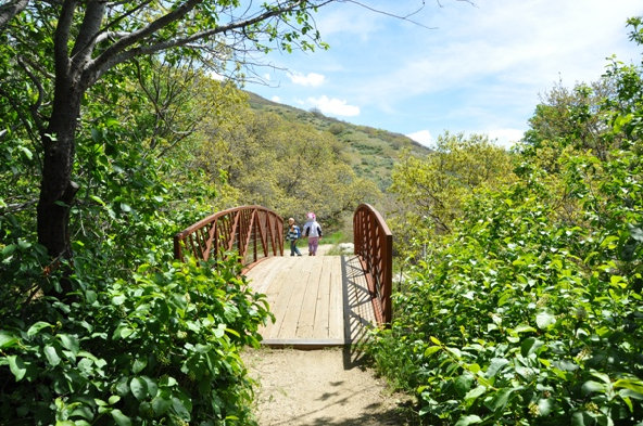 Bridge in Corner Canyon