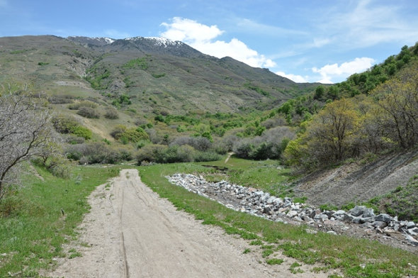 Corner Canyon and Lone Peak